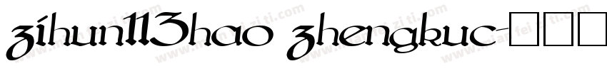 zihun113hao zhengkuc字体转换